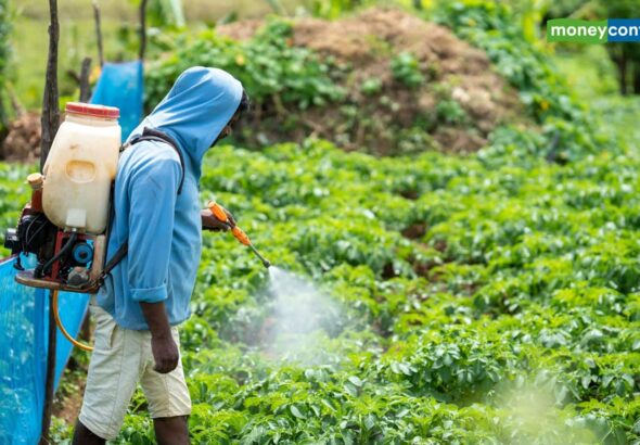 Rallis India Q4 Results: टाटा की कंपनी को ₹15 करोड़ घाटा, फिर भी शेयरधारकों को मिलेगा डिविडेंड