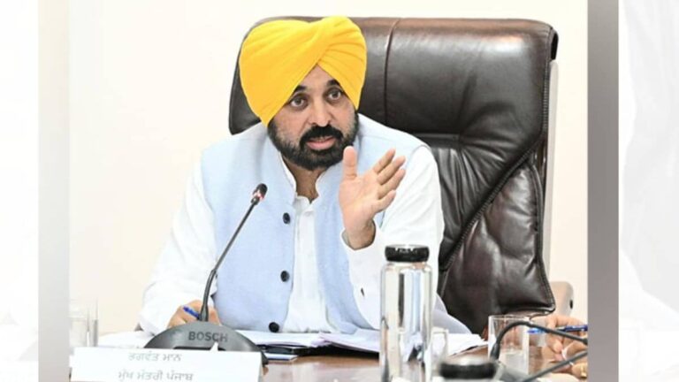 'अदरक, लहसुन, जीरा,धनिया..., 7 चीजें मिलकर सब्जी नहीं बना सकती, AAP से बगावत करने वाले सांसदों का पंजाब CM मान ने उड़ाया मजाक