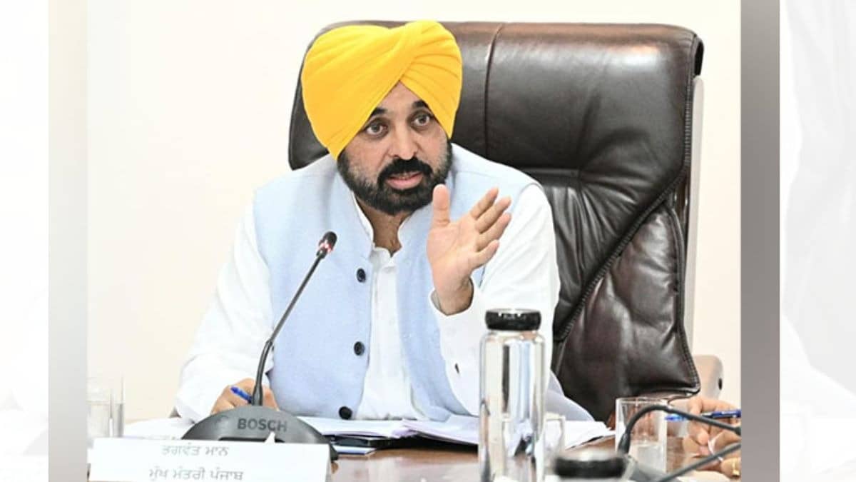 'अदरक, लहसुन, जीरा,धनिया..., 7 चीजें मिलकर सब्जी नहीं बना सकती, AAP से बगावत करने वाले सांसदों का पंजाब CM मान ने उड़ाया मजाक