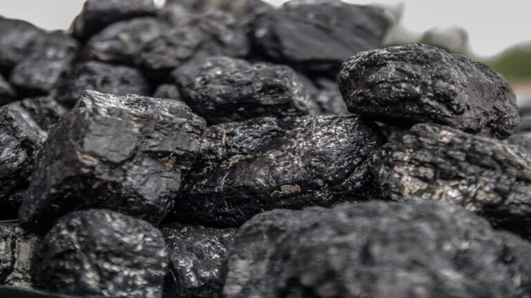 Bharat Coking Coal Share Price: कोल इंडिया की सब्सिडियरी का शेयर 5% लुढ़का, खराब Q4 के बाद झेल रहा बिकवाली