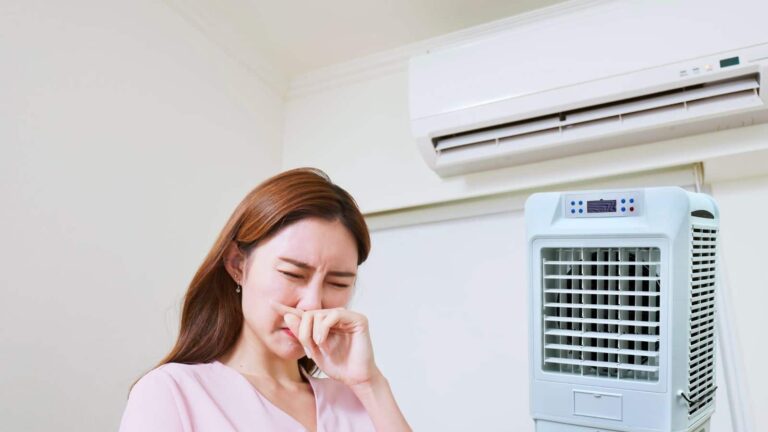 कूलर की बदबू और मच्छरों से परेशान? फिटकरी का ये देसी जुगाड़ करेगा कमाल