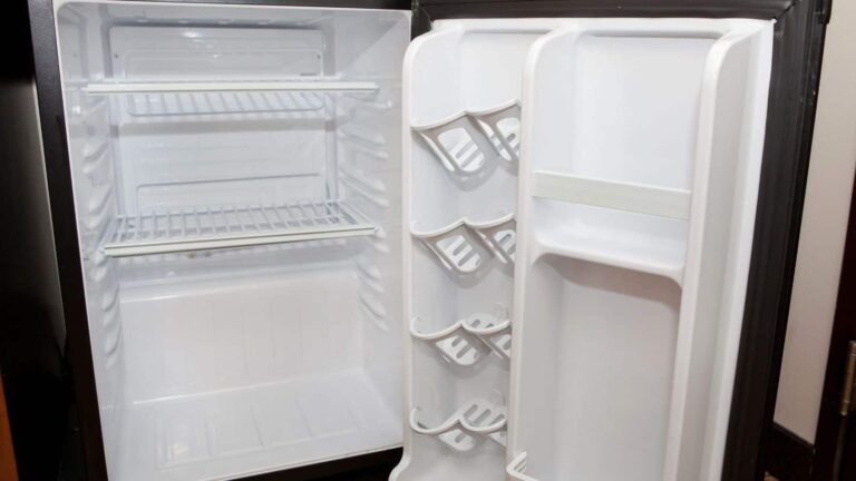 क्या आपने कभी सोचा है फ्रिज में ये रबर क्यों लगी होती है? जवाब चौंका देगा