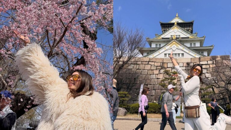 Hansika Motwani: तलाक के बाद हंसिका मोटवानी ने थामी परिवार की उंगलियां, जापान की वादियों में तलाश रही हैं सुकून