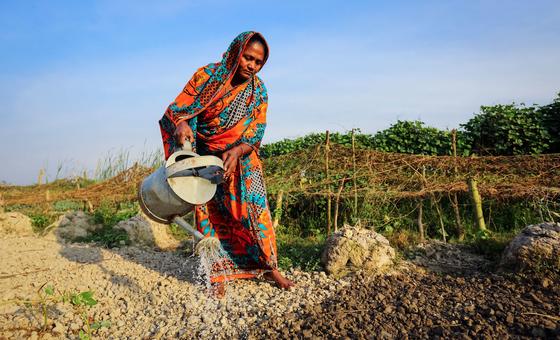 ‘समय बीता जा रहा है’: होर्मुज़ जलडमरूमध्य में व्यवधान से वैश्विक खाद्य संकट के बादल