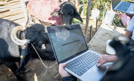 यूएनडीपी: बीमा योजनाओं से सुरक्षित भविष्य निर्माण की कोशिश