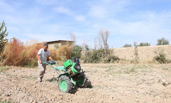 भीषण गर्मी से वैश्विक खाद्य व्यवस्था पर बढ़ता दबाव, यूएन एजेंसियों की चेतावनी