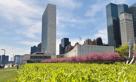 महासचिव पद के उम्मीदवार, आज से 'Interactive Dialogues' में पेश करेंगे अपनी दलीलें