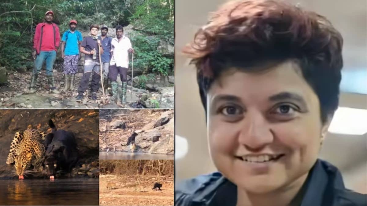 जज्बे को सलाम... मोबाइल की बैटरी खत्म, सिर्फ आधा लीटर पानी, जब ट्रैकिंग के दौरान हाथियों वाले जंगल में भटक गई शरण्या, 96 घंटे की खौफनाक कहानी