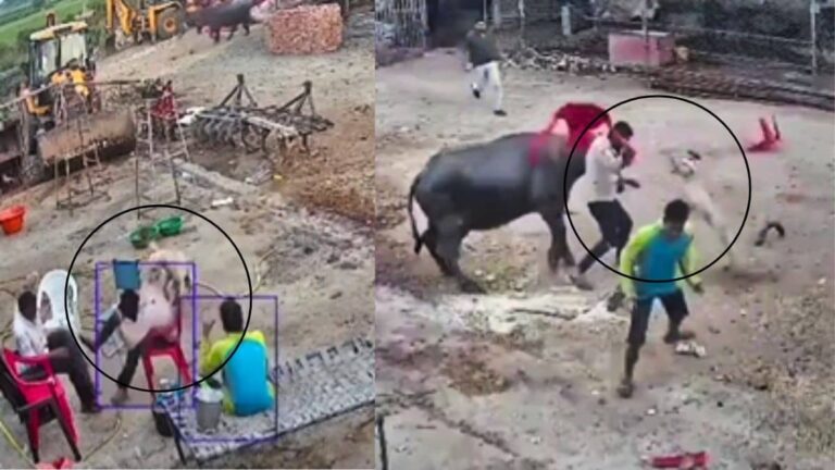 VIRAL VIDEO: 30 सेकंड में 4 शिकार,  कुत्ते ने पलक झपकते ही 4 लोगों पर किया जानलेवा हमला, कैमरे में कैद हुए दहशत के वो पल