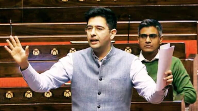 'बच्चे सिर्फ मां की ही नहीं, पिता की भी जिम्मेदारी...',राघव चड्ढा ने सदन में उठाया पैटरनिटी लीव का अहम मुद्दा, कानूनी अधिकार बनाने की रखी मांग