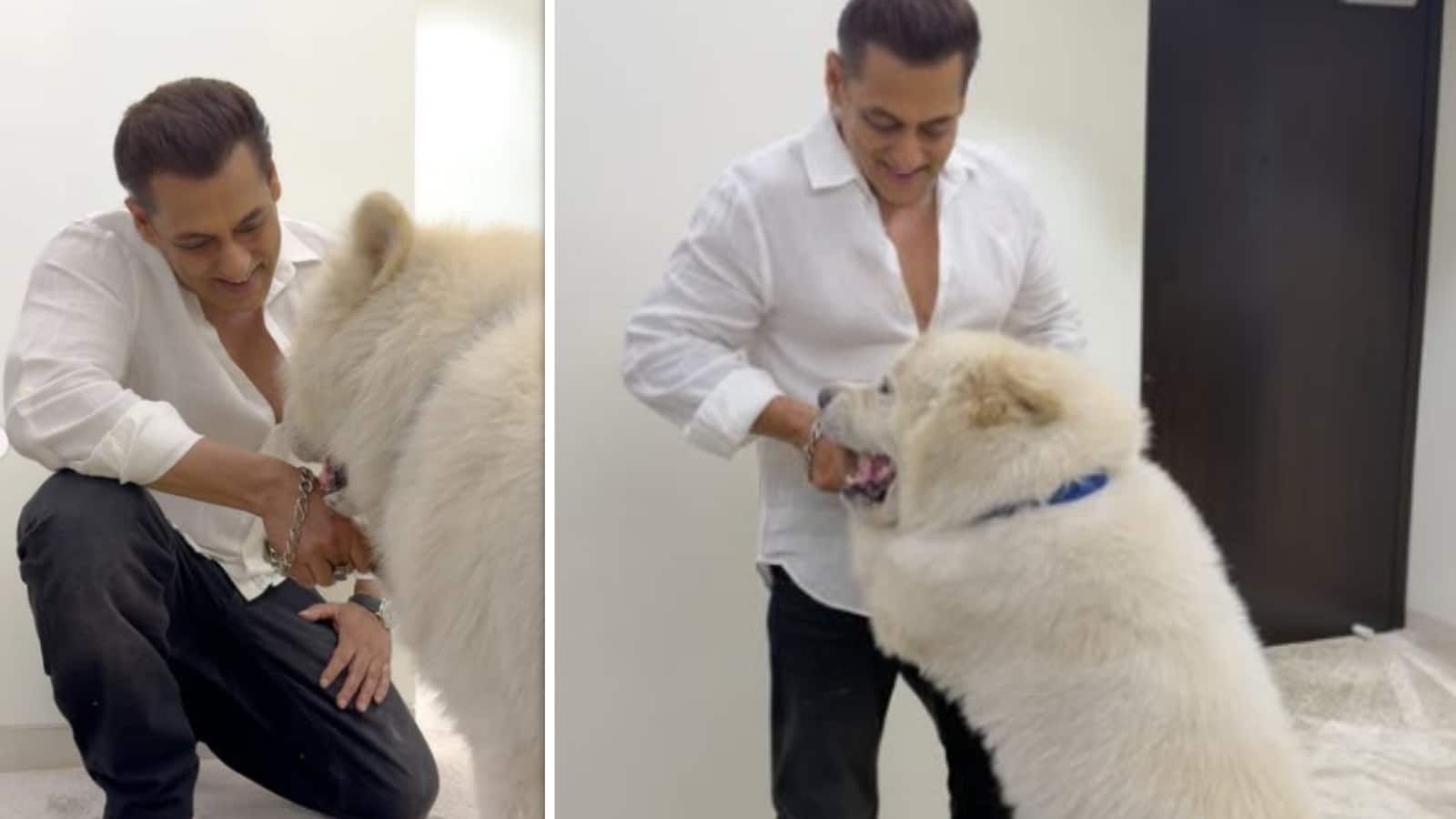 Salman Khan: अपने 'सुख' के साथ सलमान खान ने शेयर की फोटोज, पेट डॉग के दीवाने हुए फैंस