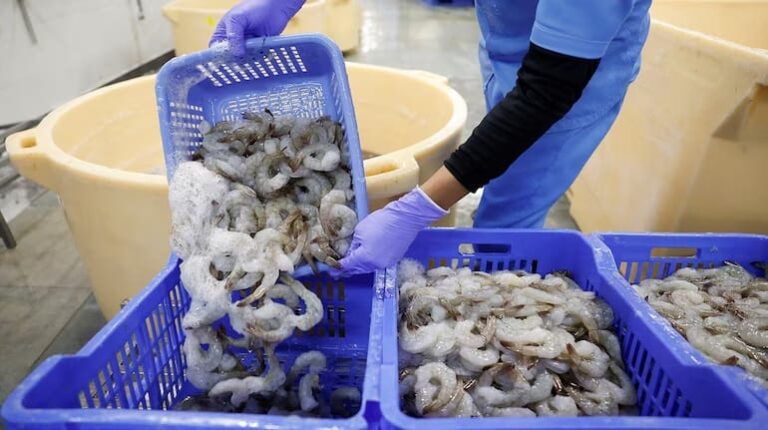 Seafood Companies Shares: अवंती फीड्स, एपेक्स फ्रोजन, कोस्टल कॉर्प के शेयर बने रॉकेट, जानिए वजह