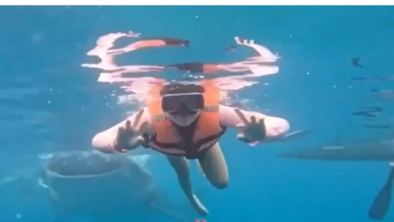 Viral Video: समंदर में सुकून के पल बने डरावने, फोटोशूट के बीच हुई व्हेल शार्क की एंट्री वायरल हुआ वीडियो