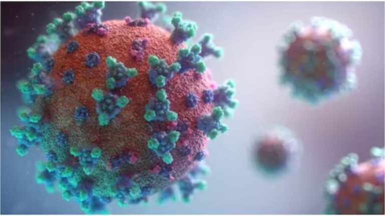Hantavirus: ठीक होने के 6 साल बाद भी शख्स के स्पर्म में मिला हंतावायरस का RNA, इस केस स्टडी ने चौंकाया