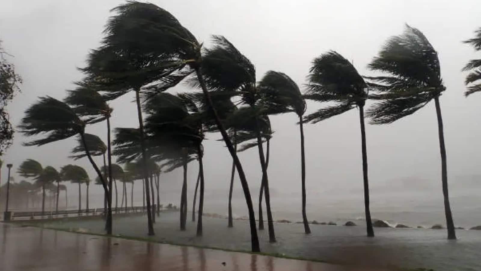 IMD Heavy Rain Alert: इन राज्यों में आंधी के साथ हैवी बारिश का अलर्ट, 70kmph स्पीड वाला थंडरस्क्वॉल मचाएगा तबाही, 22 मई तक ऐसा रहेगा मौसम