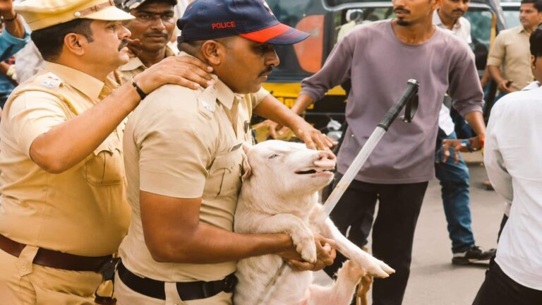 Bakrid 2026: गोदी में सूअर लेकर दौड़ पड़ी पुलिस! बकरीद से पहले मुंबई के मीरा रोड पर महासंग्राम, ये पूरा केस जानिए
