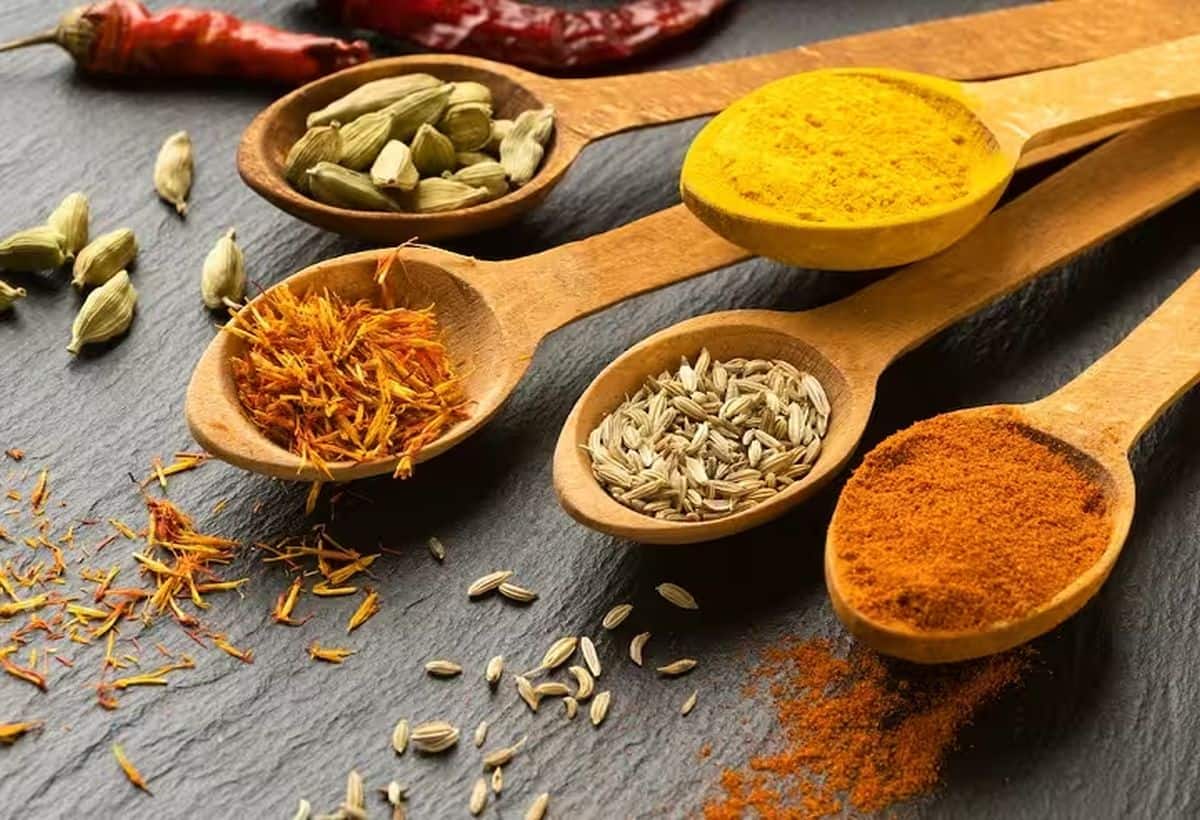 Spices in India: लाल मिर्च-धनिये पर चढ़ा तेजी का रंग, कम आवक ने बढ़ाए मसालों के दाम, जानें आगे और कितनी तेजी संभव