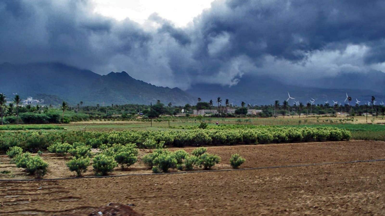 क्या इस साल सूख जाएगा भारत का मानसून? किसानों के लिए बुरी खबर! El Nino बिगाड़ सकता है पूरे सीजन का खेल