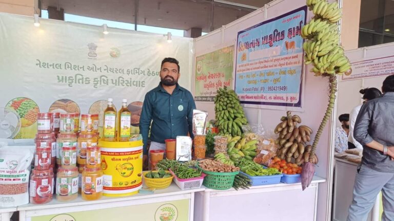 रेड, ब्लू, महालक्ष्मी, इलाइची... 8 बीघे में केले की 50 किस्में उगाते हैं कल्पेश, कैंसर से पिता की मौत के बाद इस युवा ने जो किया वो बना मिसाल
