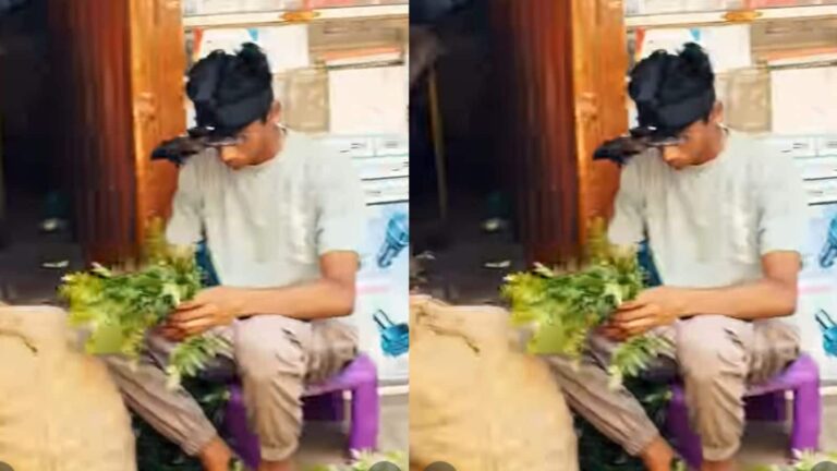 Viral Video: सड़क किनारे सब्जी बेचने वाला बना AI स्टार, सिर पर हाई-टेक डिवाइस देख लोग रह गए हैरान