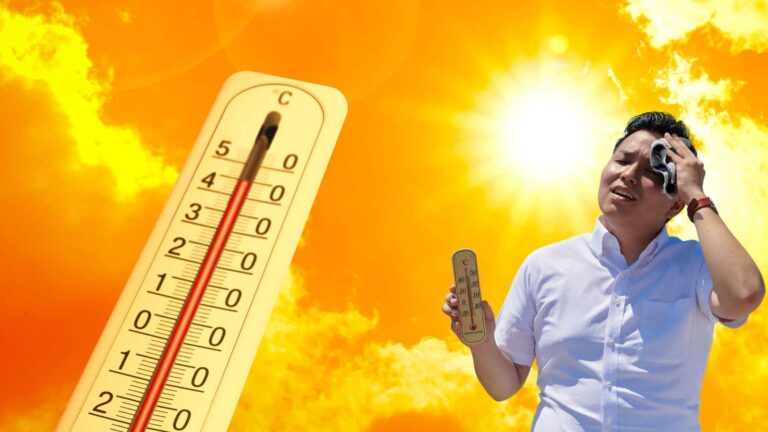 क्या है वेट बल्ब टेम्परेचर? बढ़ता खतरा बना 'मौत का अलार्म', जानिए कैसे फेल हो रहा शरीर का सिस्टम