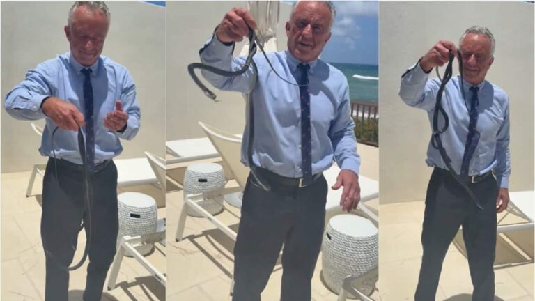 Snake Video: अमेरिकी हेल्थ सेक्रेटरी RFK Jr ने हाथ से पकड़ लिए 2 काले सांप, एक ने तो कई बार काटा