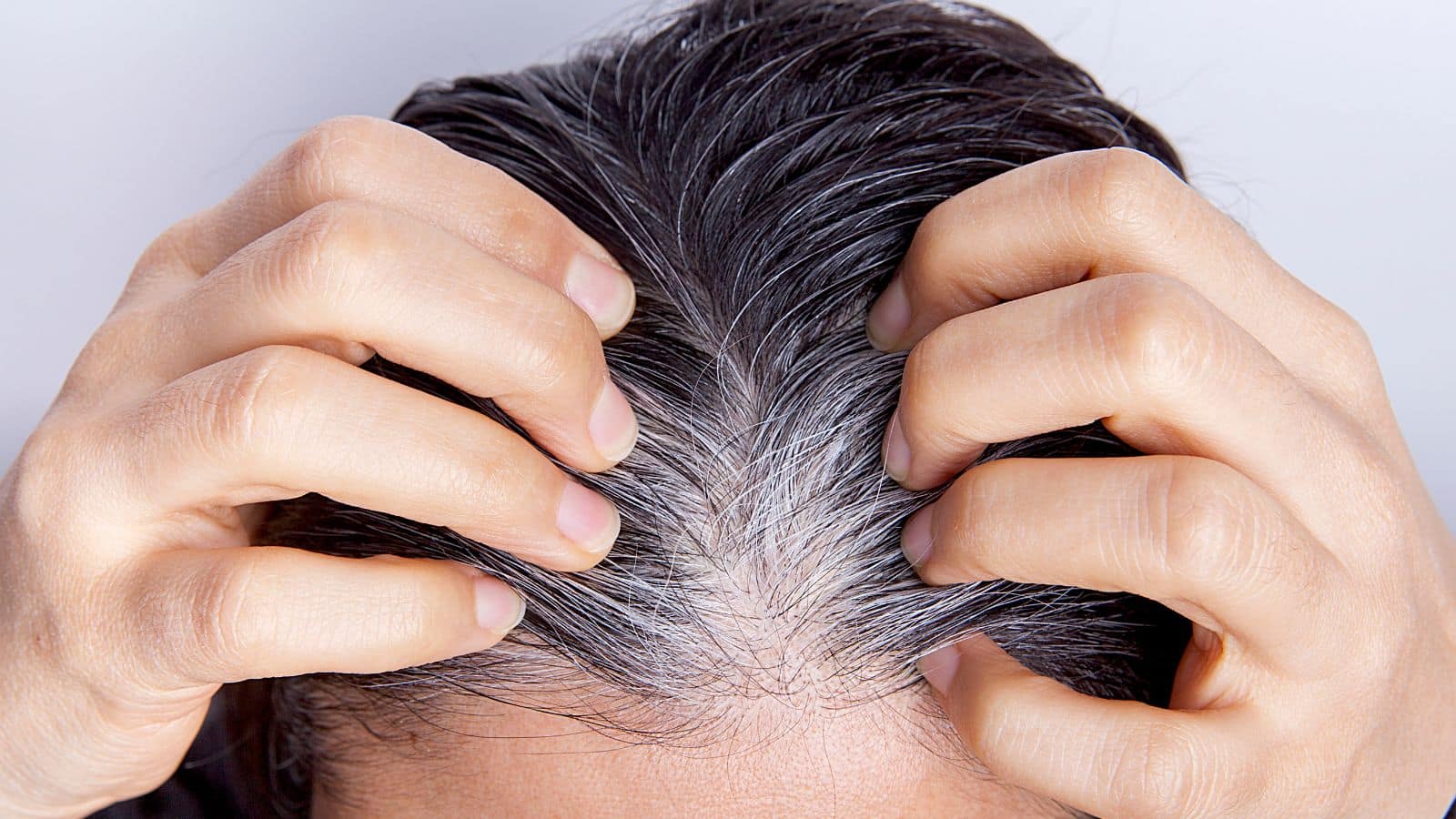 White Hair: समय से पहले दिखें सफेद बाल तो हो जाएं सतर्क, दिल की सेहत से जुड़ा हो सकता है मामला