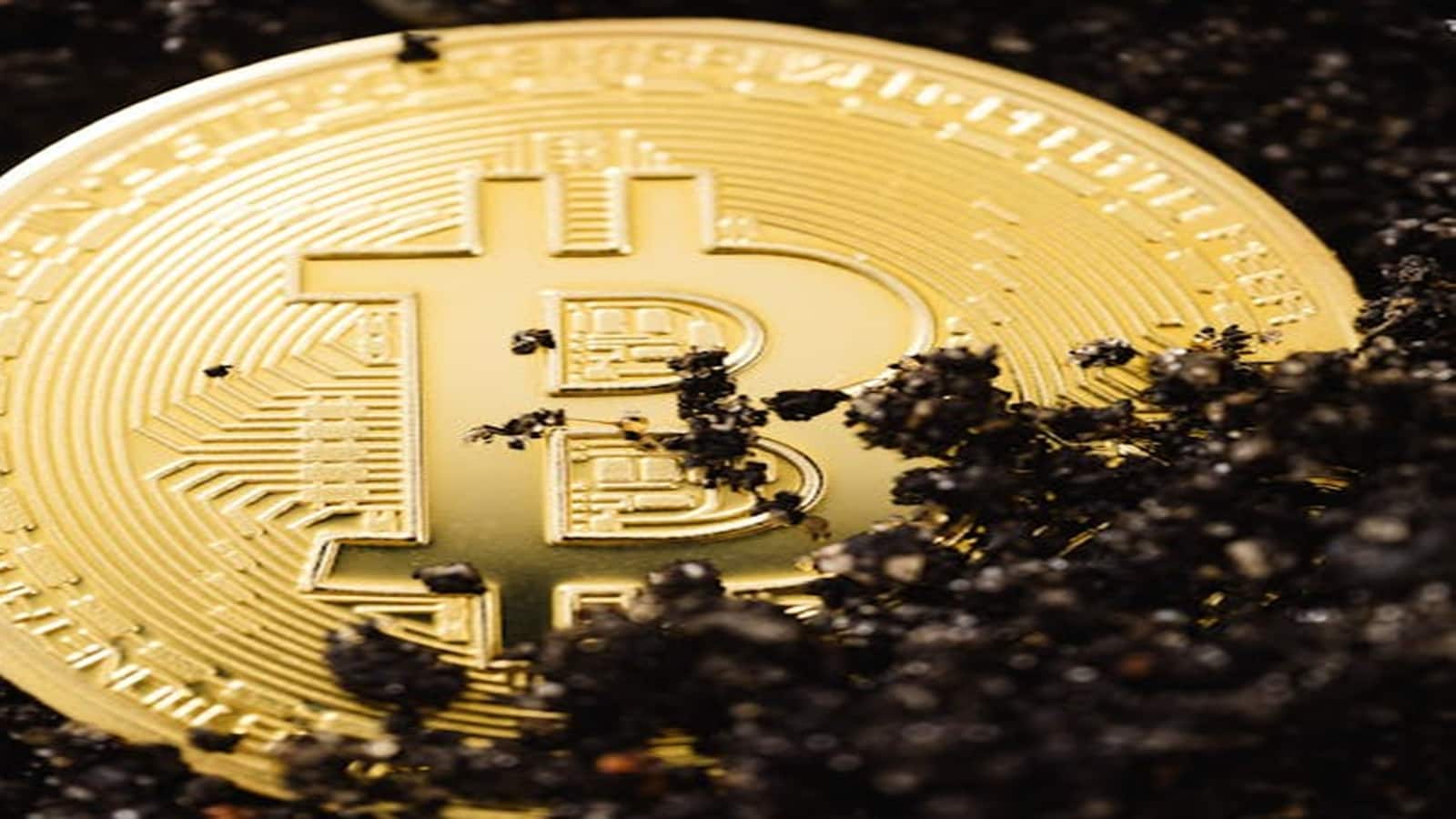 Crypto Price: सात दिनों में टॉप-10 का सिर्फ एक क्रिप्टो मजबूत, BitCoin और Ethereum पड़े नरम