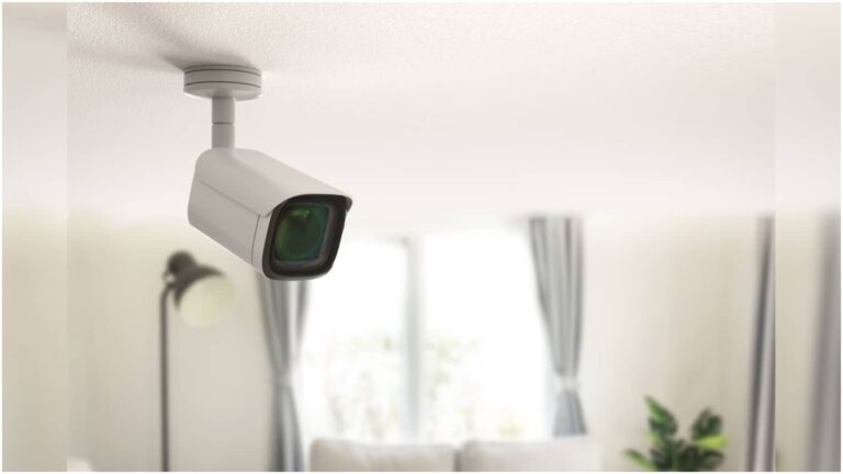 'मेरा पति लकड़ों के साथ...', पत्नी ने घर में लगवाए CCTV कैमरे, वीडियो देख उड़ गए होश!