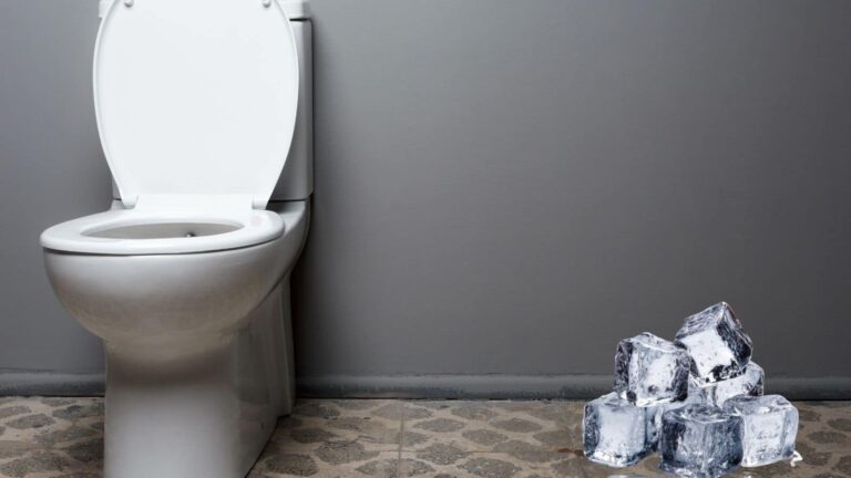 Toilet cleaning tips: टॉयलेट साफ करने का देसी जुगाड़ वायरल, जानें कैसे बर्फ से चमकेगा कमोड