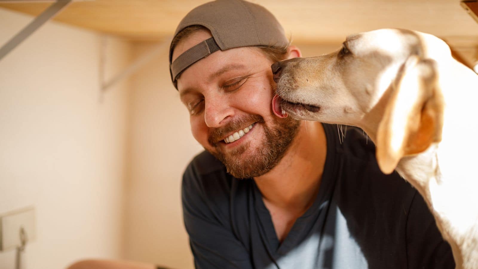Why Dog Licks You: कुत्ता आपको बार-बार क्यों चाटता है? इसके पीछे की वजह दिलचस्प है!