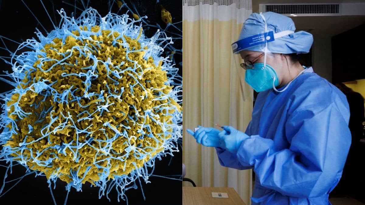 Ebola Virus: भारत में 'इबोला' वायरस की एंट्री! युगांडा से बेंगलुरु आई महिला में दिखे लक्षण, एयरपोर्ट पर ही किया गया क्वारंटाइन; जानिए इस बीमारी के लक्षण