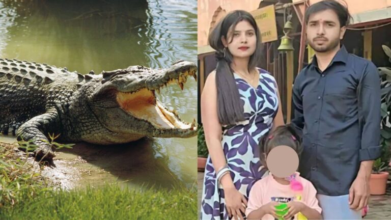 UP: सास की चिता सजाई, हाथ धुलने सरयू किनारे गया नोएडा से आया दामाद; झपट्टा मारकर जिंदा खा गया मगरमच्‍छ, गोंडा में कंपा देने वाली घटना