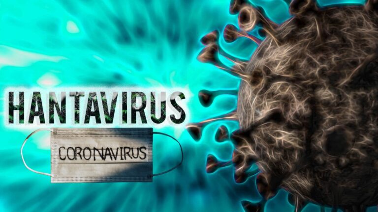 Hantavirus vs Coronavirus: हंता या कोरोना... कौन सा वायरस हैं ज्यादा जानलेवा? जानें एक्सपर्ट्स की राय