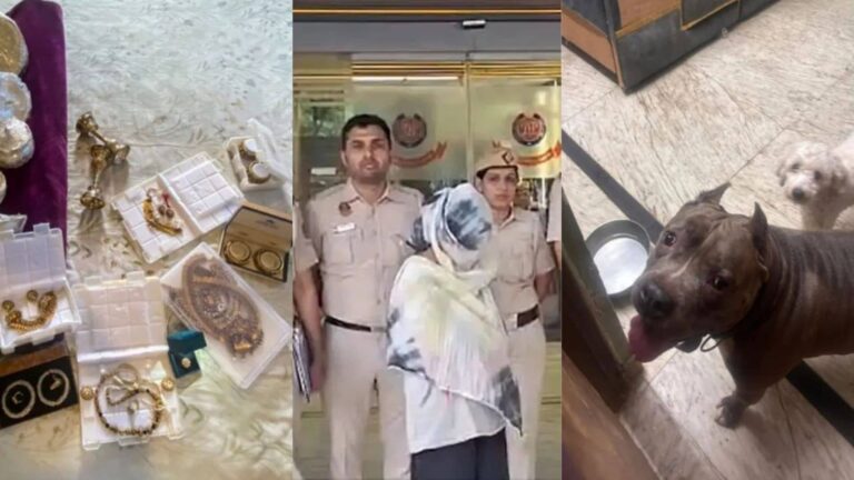 15 गोल्‍ड लोन अकाउंट, 15 खूंखार कुत्तों का पहरा और रजाई में सोनम...ऐसे पकड़ी गई दिल्‍ली की 'शातिर नौकरानी'; खुला 2 KG सोना वाला बड़ा राज