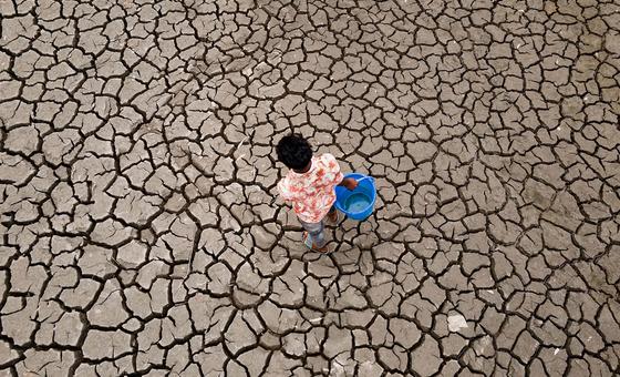 रिकॉर्ड ध्वस्त कर देने वाले गर्म वर्षों की ओर बढ़ रही है दुनिया - WMO