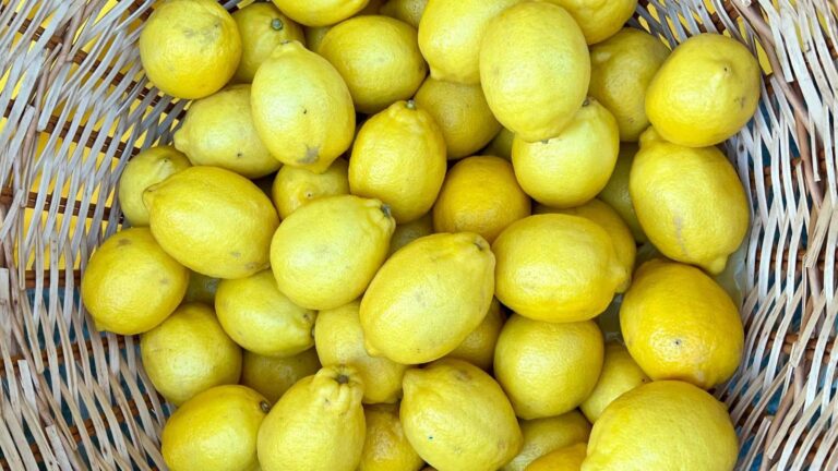 गर्मी में नींबू बचाना हुआ आसान, बस अपनाएं ये 5 लेमन हैक्स और पाएं फायदा