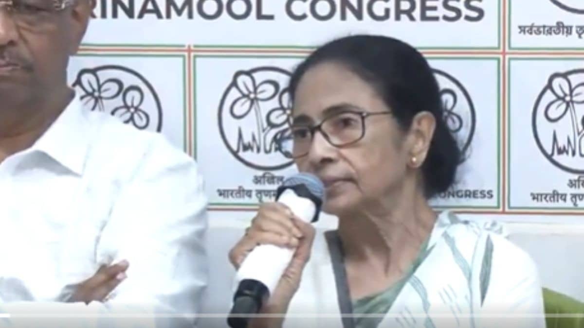 'धक्का देकर मुझे बाहर निकाला, मेरे पेट पर लात मारा, पोलिंग बूथ जाने से रोका...', हार के बाद ममता बनर्जी ने BJP-EC पर लगाए गंभीर आरोप