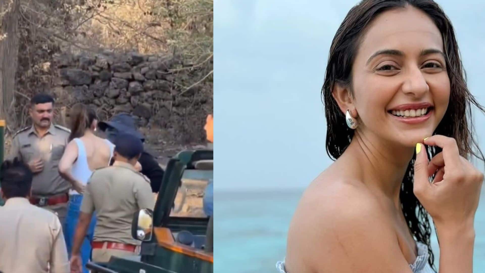 Rakul Preet Singh: गिर नेशनल पार्क में रकुल प्रीत सिंह का वीडियो हुआ वायरल, नियमों के उल्लंघन पर छिड़ी बहस