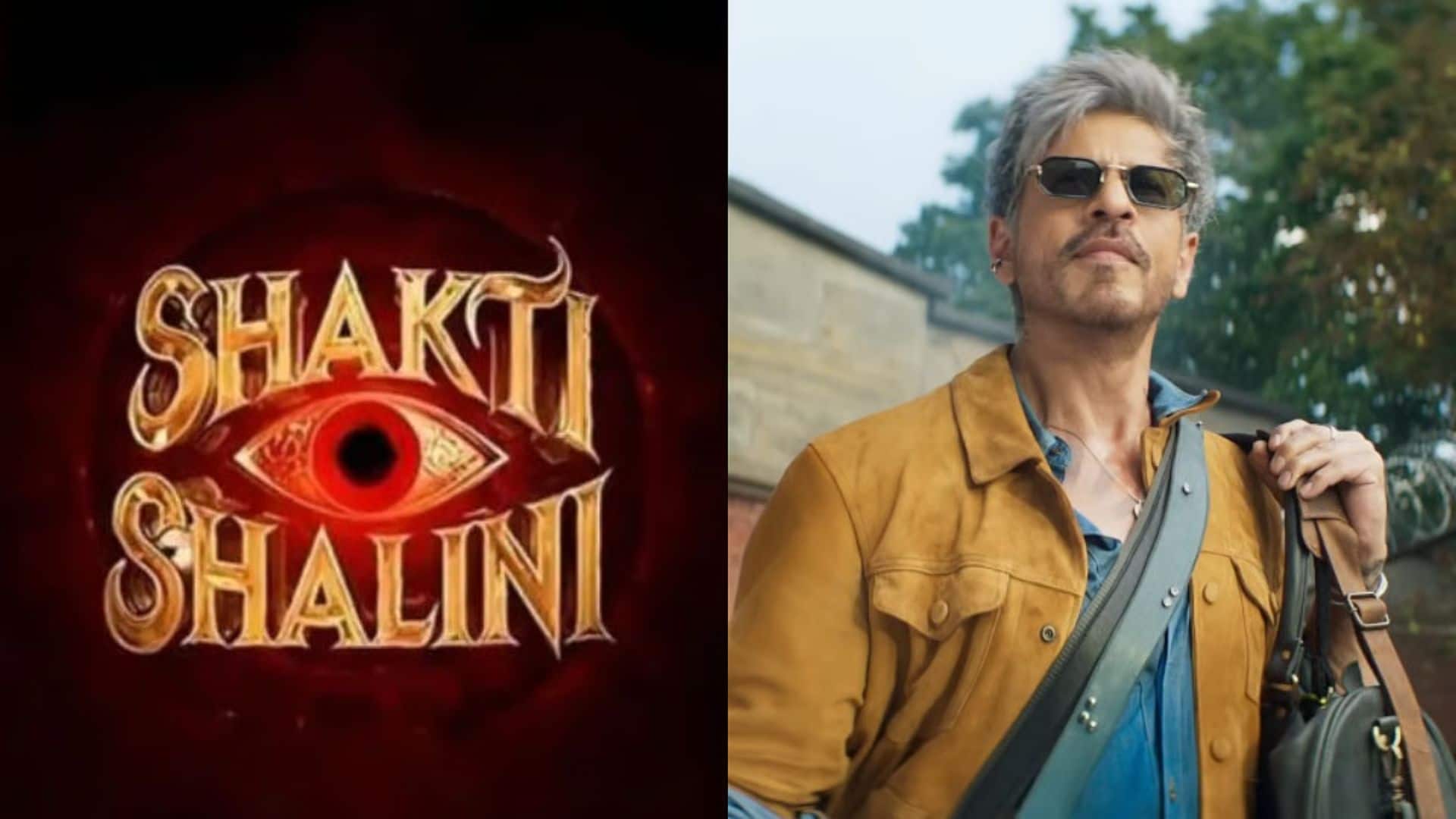Shakti Shalini Movie: शाहरुख खान की 'किंग' से टक्कर टालने के लिए मेकर्स ने बदला प्लान, अब इस दिन रिलीज होगी अनीत पड्डा की 'शक्ति शालिनी'