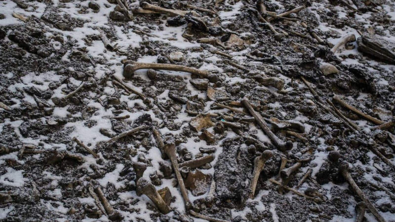 नैनीताल घूमने का प्लान? पहले जान लें पास की इस ‘कंकालों वाली झील’ का खौफनाक सच