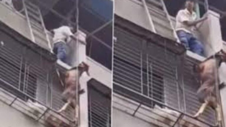 Viral Video: ये कैसा नजारा! इमारत से लटकता बकरा देख जमा हो गई भीड़, फिर जो हुआ वो हैरान कर देगा