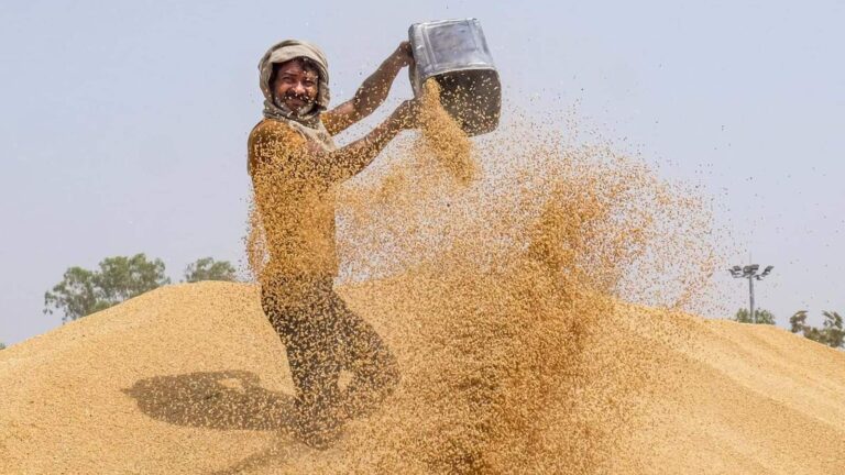 wheat exports: भारत ने 4 साल बाद फिर शुरू किया गेहूं एक्सपोर्ट लेकिन क्यों दिख रही है एक्सपोर्ट में बढ़ोतरी की उम्मीद कम, जानें वजह