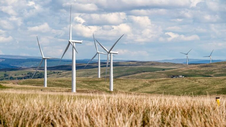 SEBI के ₹29 करोड़ के जुर्माने के सामने नहीं झुकेगी Suzlon Energy, आदेश को SAT में देगी चुनौती