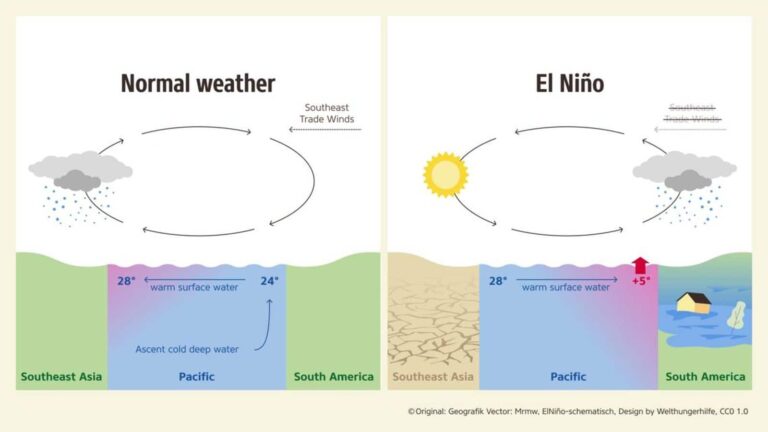 सितंबर तक मजूबत हो जाएगा El Nino, मानसून से लेकर इकॉनमी सबपर होगा असर! इस बीच IMD डीजी ने बताया क्या है तैयारी