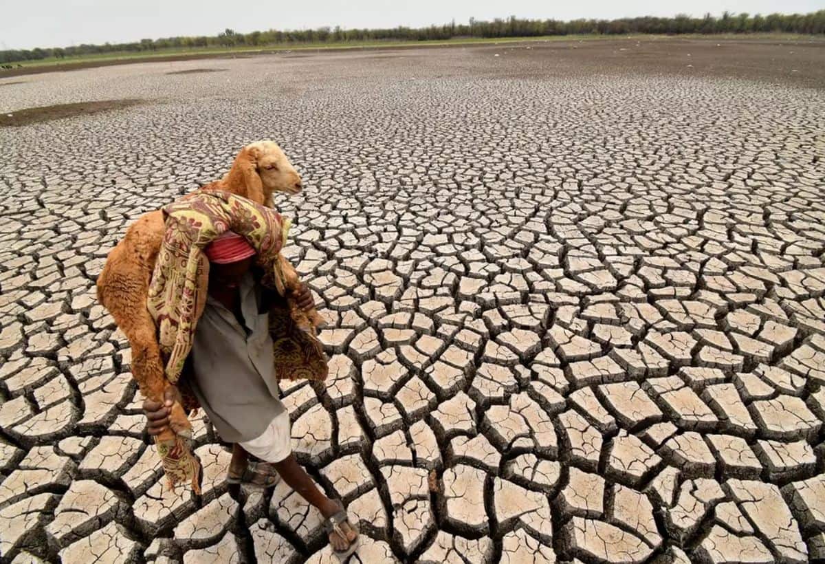 El Nino Update: देश के 197 जिले हाई-रिस्क जोन में, अल नीनो के बुरे साये को लेकर आया अब ये अलर्ट