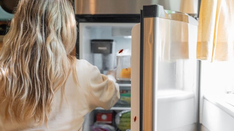 Tips & Tricks: फ्रिज में दिख रहे हैं कॉकरोच? इन आसान और असरदार उपायों से पाएं हमेशा के लिए छुटकारा
