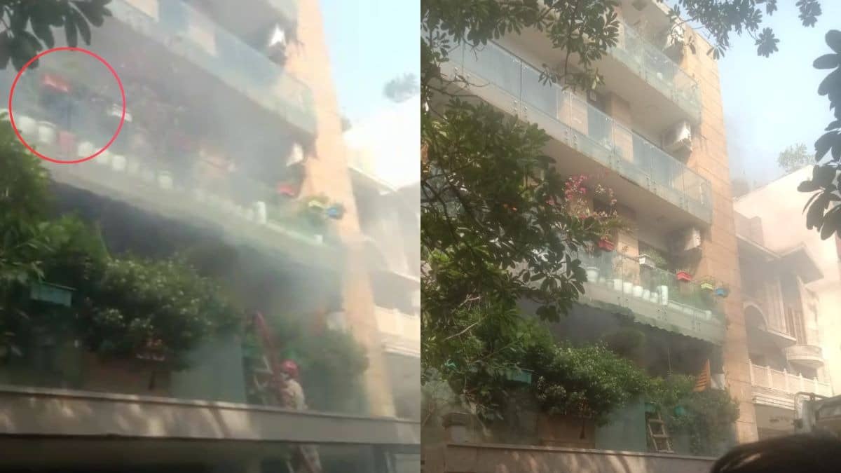 Delhi: न्यू फ्रेंड्स कॉलोनी में तीन मंजिला मकान में लगी भीषण आग, दमकल की 5 गाड़ियां मौके पर पहुंची; पढ़िए ताजा अपडेट