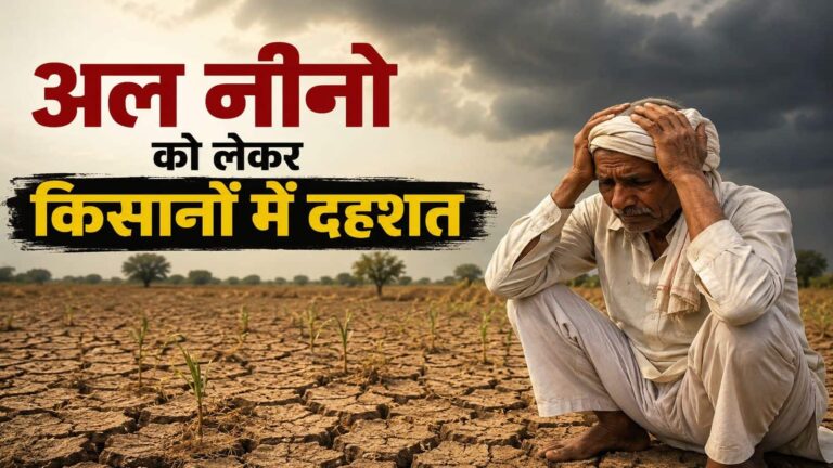 El Nino Effect: अल नीनो को लेकर किसानों में दहशत! अनाज की खरीद, MSP और खाद में मदद करेगी सरकार, इन फसलों पर होगा सीधा असर