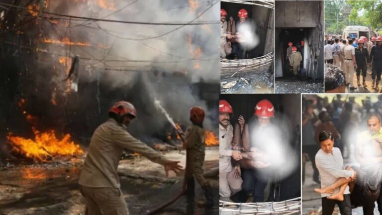 Delhi Hotel Fire: धू-धूकर जलती इमारत, कई विदेशी लोगों ने कूद कर बचाई जान; हादसे के वक्त कैसा था खौफनाक मंजर, दिल दहलाने वाला VIDEO 